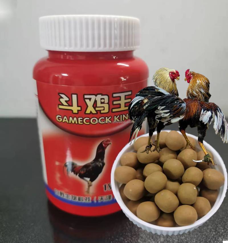 Kinh nghiệm phối thuốc và chăm sóc: Nghệ thuật nuôi gà chứ không chỉ là kỹ thuật