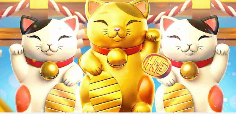 Mèo Thần Tài Tip Club - Khám Phá Cách Chơi và Tính Năng